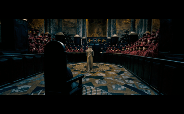 Harry Potter and the Order of the Phoenix - 336