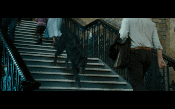 Harry Potter and the Order of the Phoenix - 356