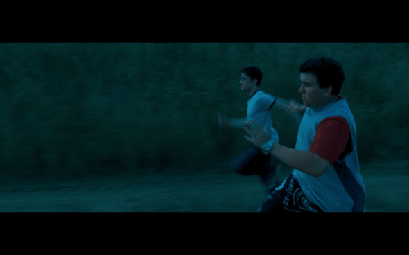 Harry Potter and the Order of the Phoenix - 36