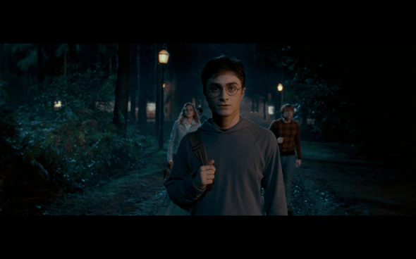 Harry Potter and the Order of the Phoenix - 393