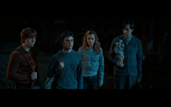 Harry Potter and the Order of the Phoenix - 400