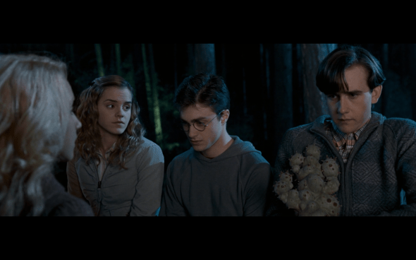 Harry Potter and the Order of the Phoenix - 407