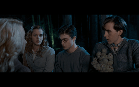 Harry Potter and the Order of the Phoenix - 409