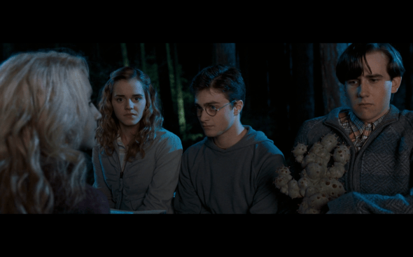 Harry Potter and the Order of the Phoenix - 419