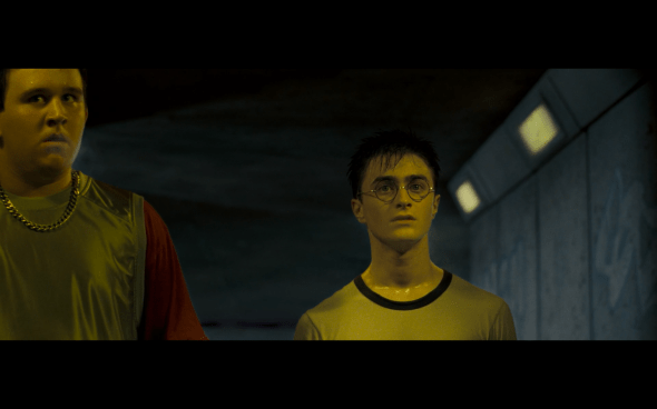 Harry Potter and the Order of the Phoenix - 44