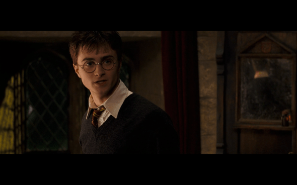 Harry Potter and the Order of the Phoenix - 469