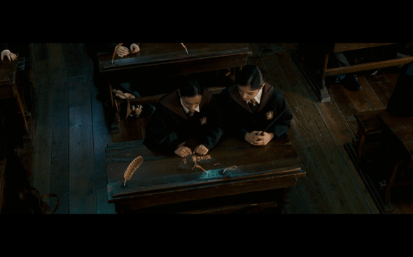 Harry Potter and the Order of the Phoenix - 491