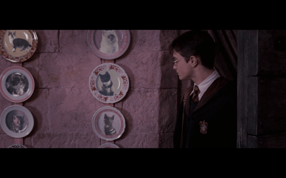 Harry Potter and the Order of the Phoenix - 520