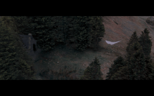 Harry Potter and the Order of the Phoenix - 560