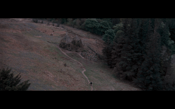 Harry Potter and the Order of the Phoenix - 561