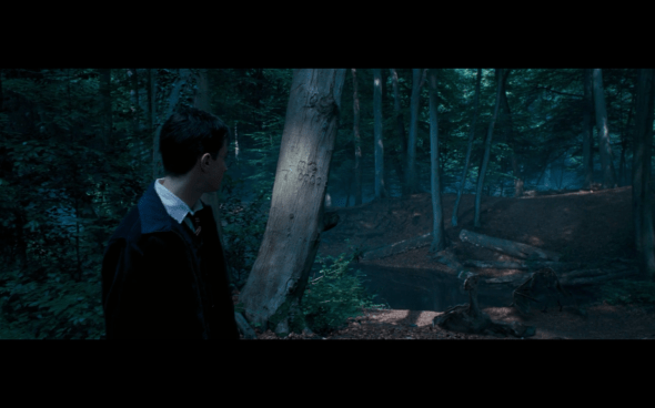 Harry Potter and the Order of the Phoenix - 568