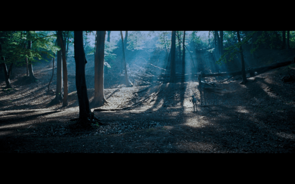 Harry Potter and the Order of the Phoenix - 575