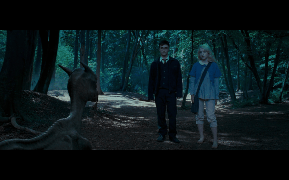 Harry Potter and the Order of the Phoenix - 577