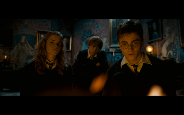 Harry Potter and the Order of the Phoenix - 686