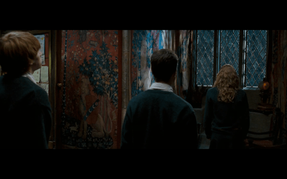 Harry Potter and the Order of the Phoenix - 690