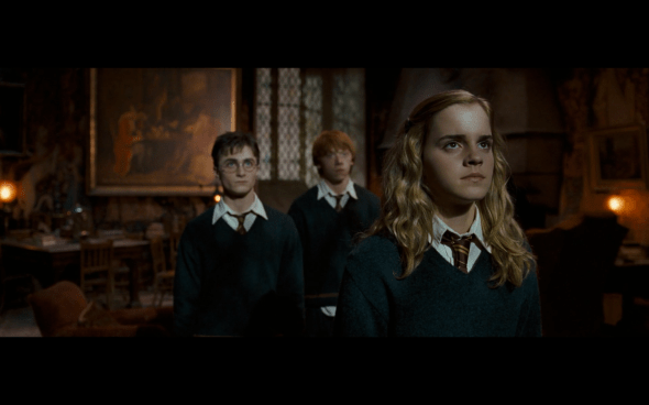 Harry Potter and the Order of the Phoenix - 691