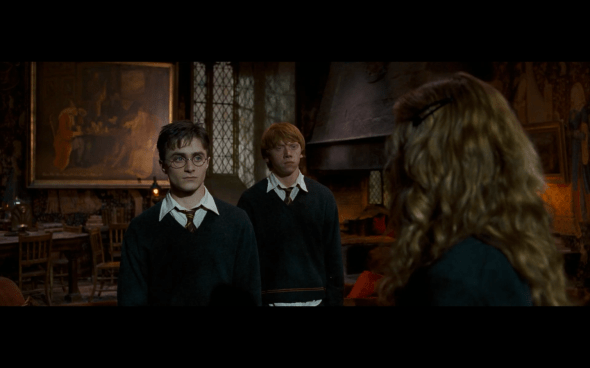 Harry Potter and the Order of the Phoenix - 693