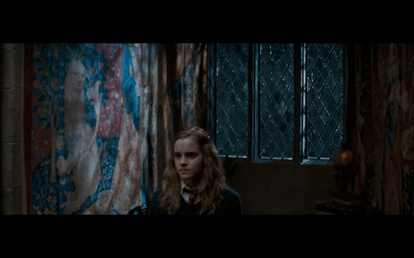 Harry Potter and the Order of the Phoenix - 694