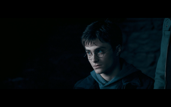 Harry Potter and the Order of the Phoenix - 713