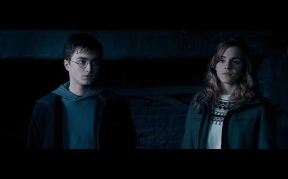 Harry Potter and the Order of the Phoenix - 719