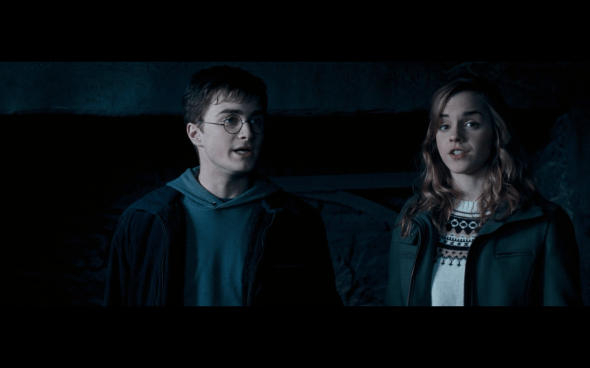 Harry Potter and the Order of the Phoenix - 726