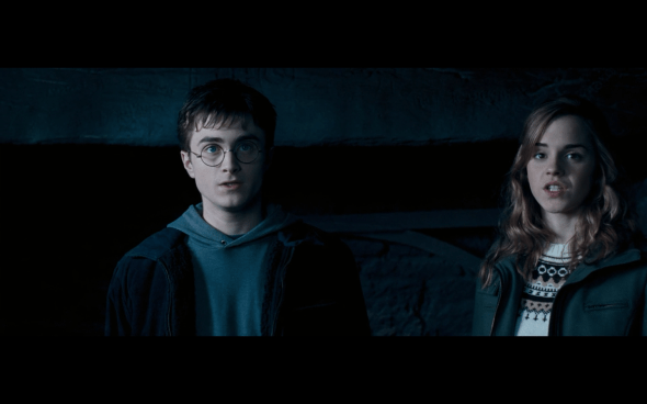 Harry Potter and the Order of the Phoenix - 729