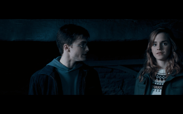 Harry Potter and the Order of the Phoenix - 730