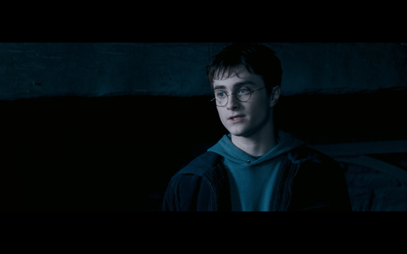 Harry Potter and the Order of the Phoenix - 733