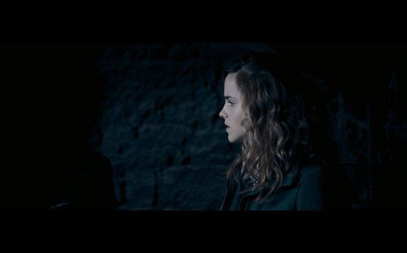 Harry Potter and the Order of the Phoenix - 736