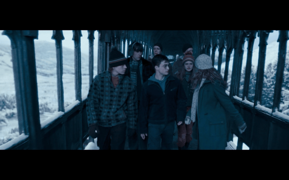 Harry Potter and the Order of the Phoenix - 745