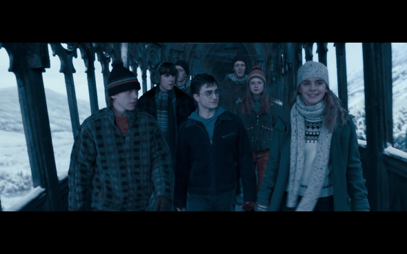 Harry Potter and the Order of the Phoenix - 746