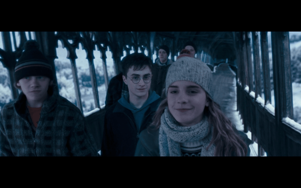 Harry Potter and the Order of the Phoenix - 750