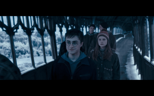 Harry Potter and the Order of the Phoenix - 751