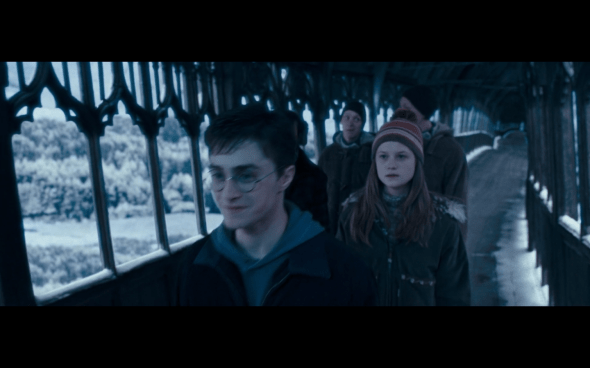 Harry Potter and the Order of the Phoenix - 752