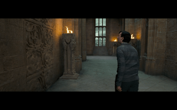 Harry Potter and the Order of the Phoenix - 763