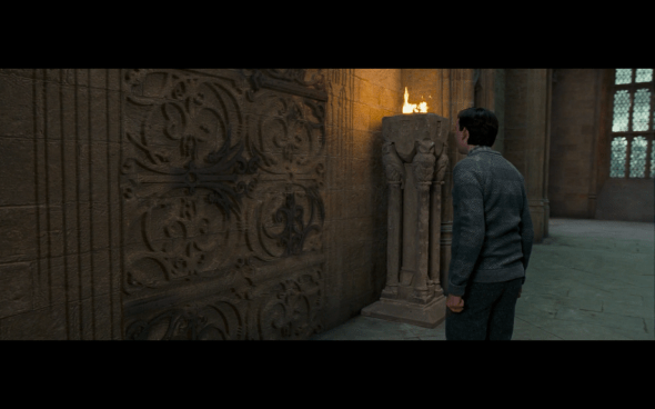 Harry Potter and the Order of the Phoenix - 764