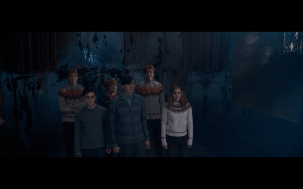 Harry Potter and the Order of the Phoenix - 771