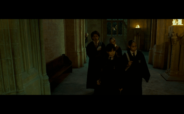 Harry Potter and the Order of the Phoenix - 785