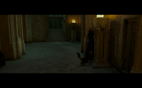 Harry Potter and the Order of the Phoenix - 788