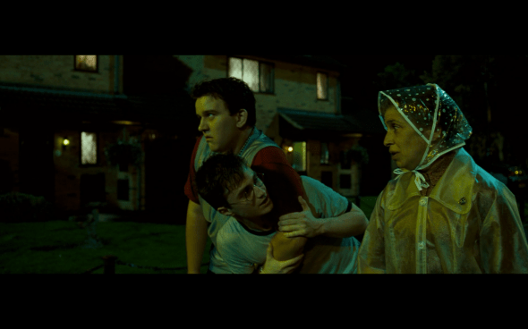 Harry Potter and the Order of the Phoenix - 79