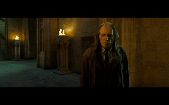 Harry Potter and the Order of the Phoenix - 790