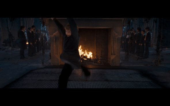 Harry Potter and the Order of the Phoenix - 799