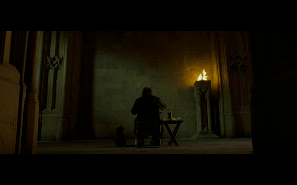 Harry Potter and the Order of the Phoenix - 805