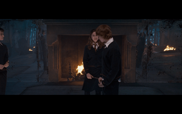 Harry Potter and the Order of the Phoenix - 808