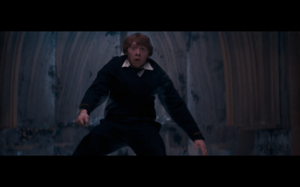 Harry Potter and the Order of the Phoenix - 822