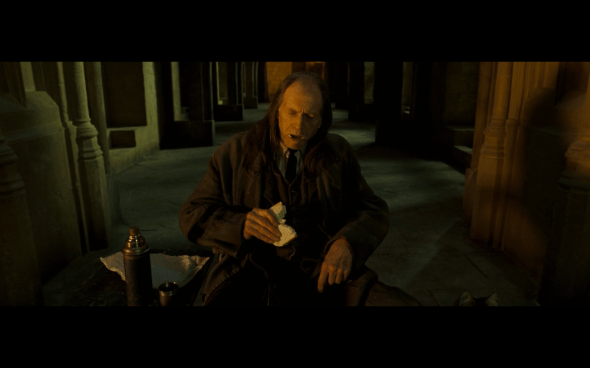 Harry Potter and the Order of the Phoenix - 829