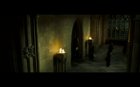 Harry Potter and the Order of the Phoenix - 834