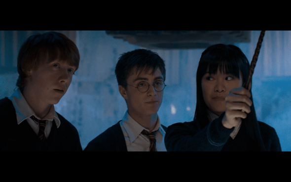 Harry Potter and the Order of the Phoenix - 846