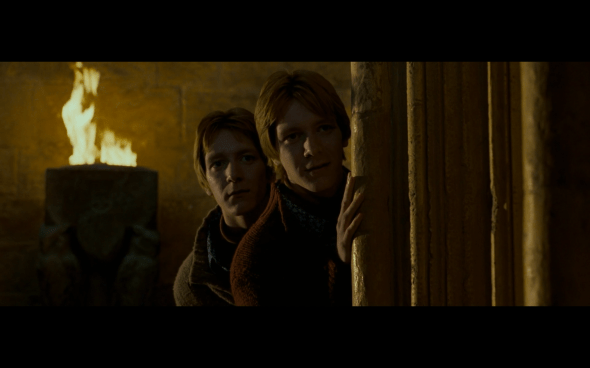 Harry Potter and the Order of the Phoenix - 853