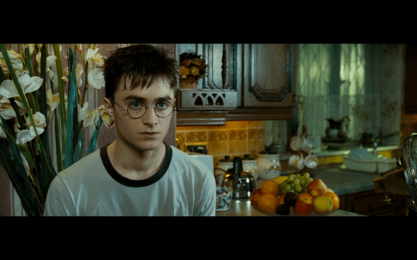 Harry Potter and the Order of the Phoenix - 87